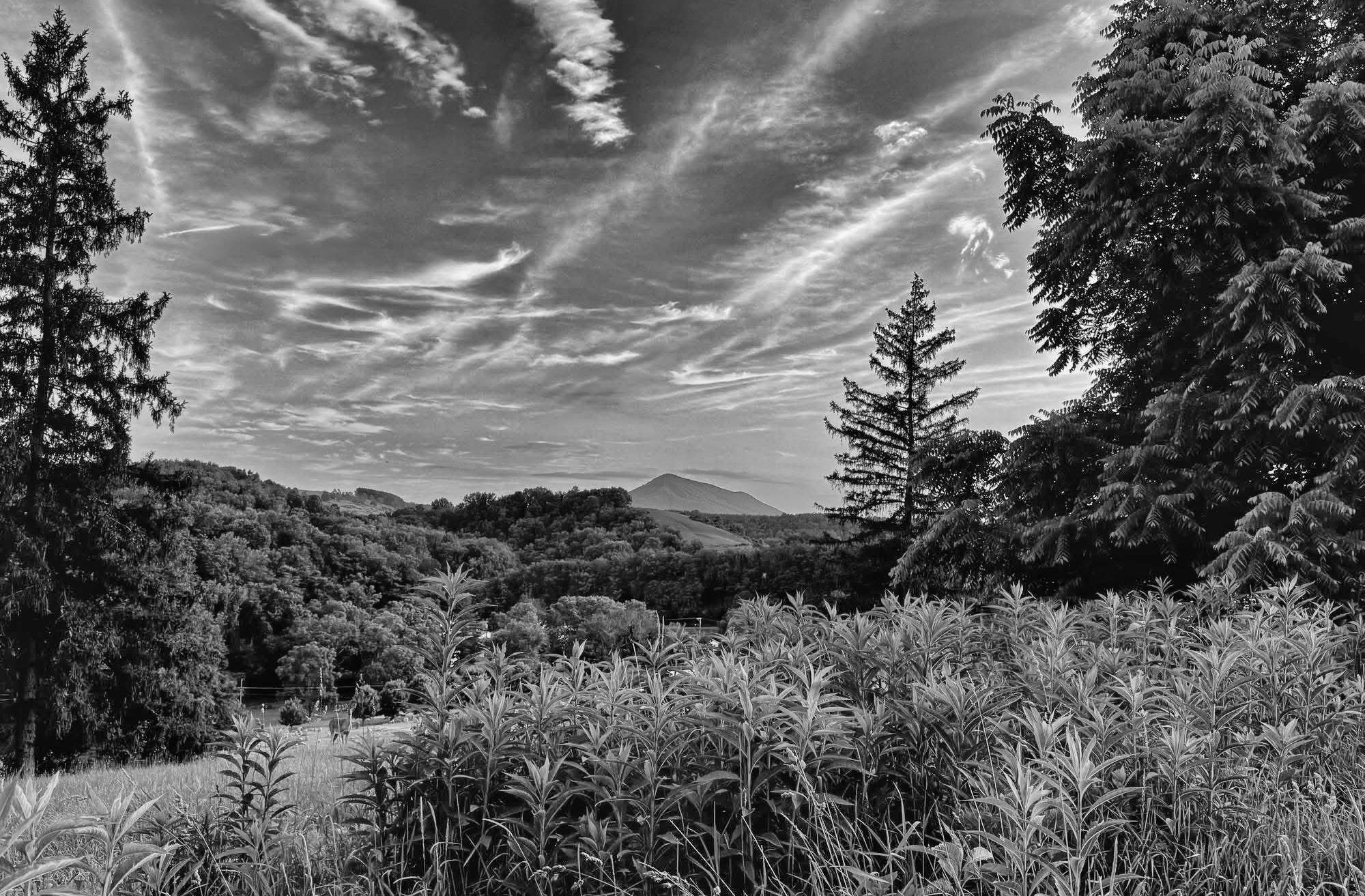 Southwest Virginia