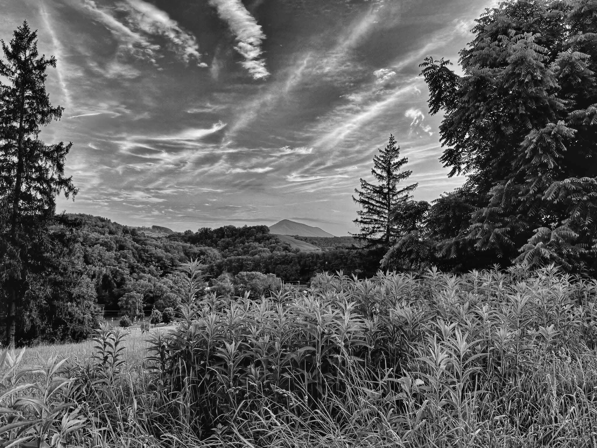 Southwest Virginia