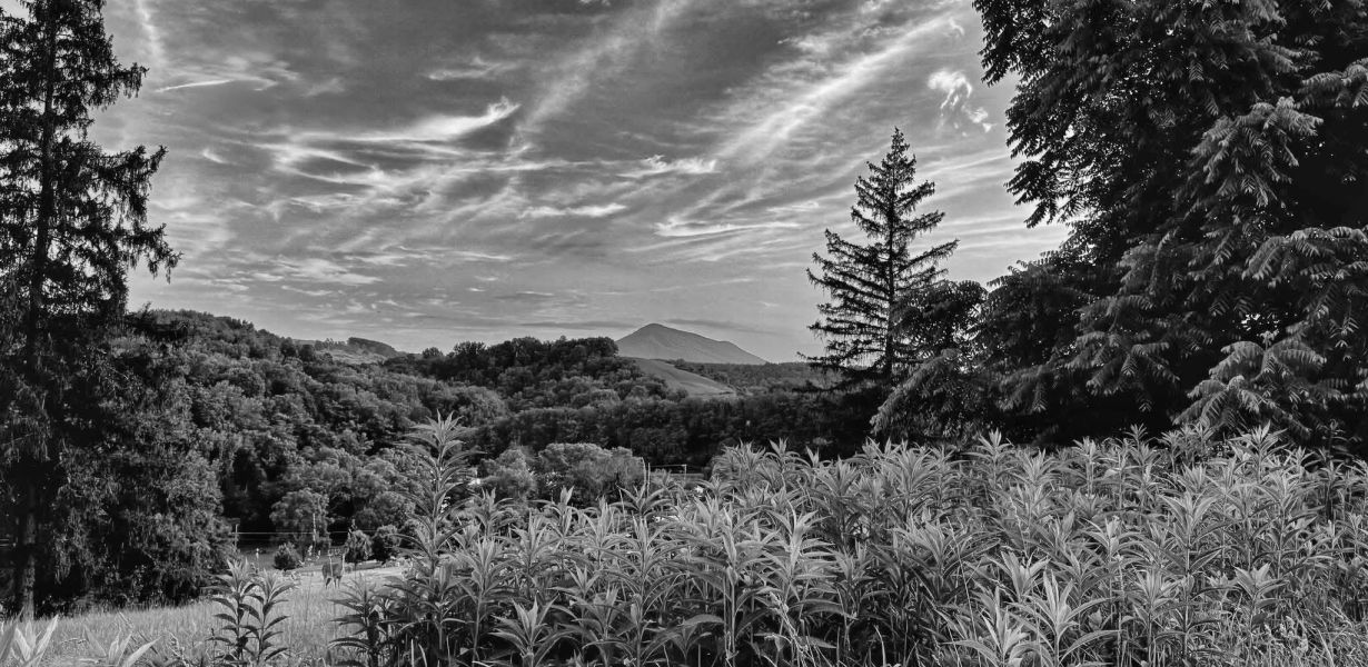 Southwest Virginia